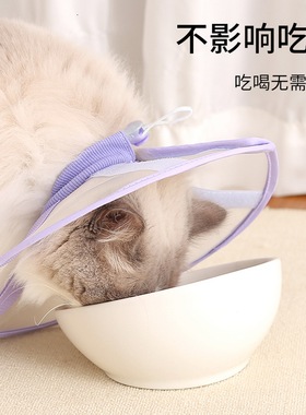 不影响吃喝宠物伊丽莎白圈轻薄猫咪防舔伊莉莎白头套透气防咬脖套