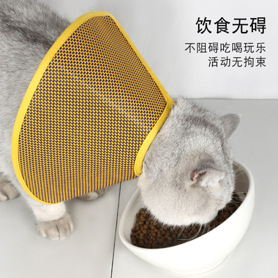 伊丽莎白圈脖圈猫咪宠物柔软夏天