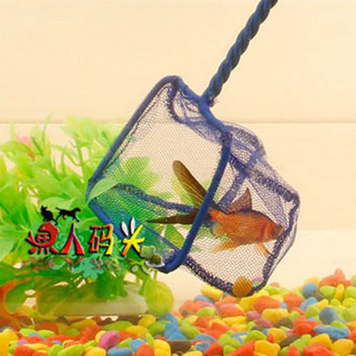 促销水管新款上市多规格观赏金鱼鱼鱼捞手抄网金属框架厂家直销