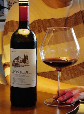WS百大名庄Chianti头牌｜意大利Fontodi福地经典奇安帝干红葡萄酒