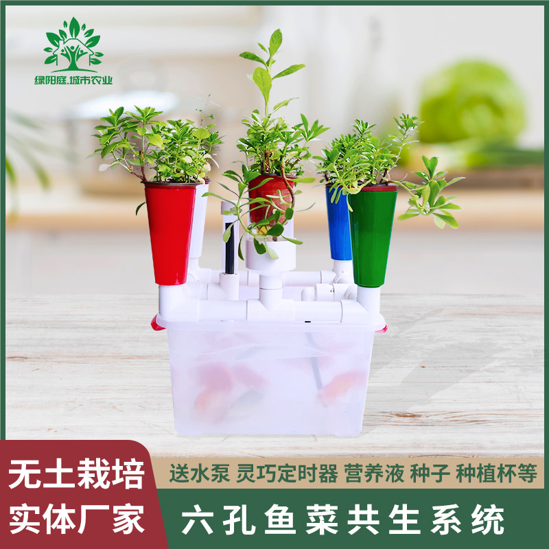 学生学习用鱼菜共生系统无土栽培设备水培种植系统植物生长观察