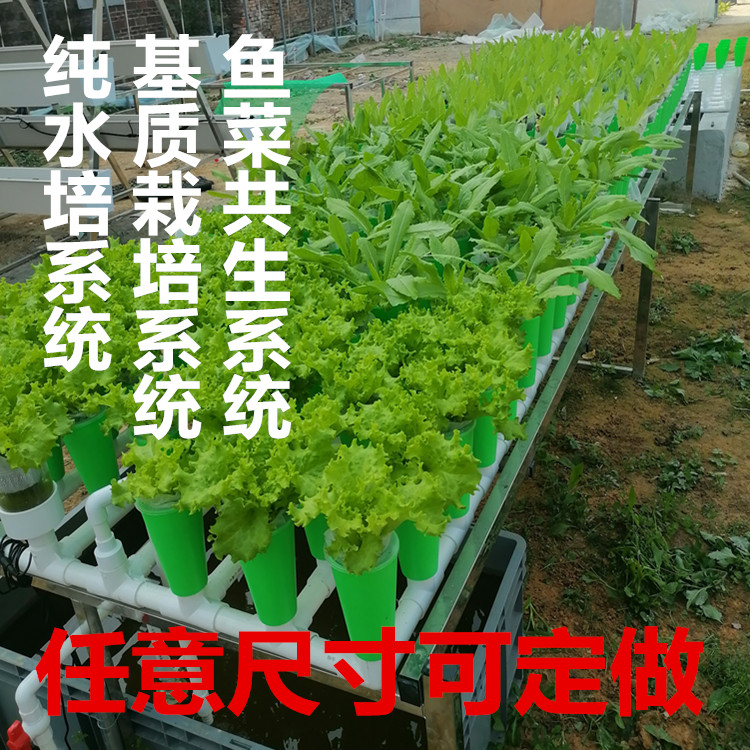家庭鱼菜共生虹吸种植设备潮汐装置阳台种菜楼顶无土栽培设备包邮