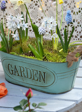 欧式铁艺球根郁金香葡萄风信子花盆铁皮桶花桶复古做旧小花盆花器