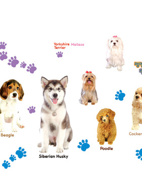 创意墙贴纸宠物店铺橱窗装饰卡通贴画防水瓷砖贴冰箱贴可爱小狗狗