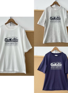 2L-107简约夏季圆领短袖T恤图案印花设计感舒适亲肤百搭上衣Z26-3