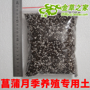 兰花专用土 龙根 姬月季 种苗 盆景 虎须 金钱菖蒲土 黄金姬菖蒲