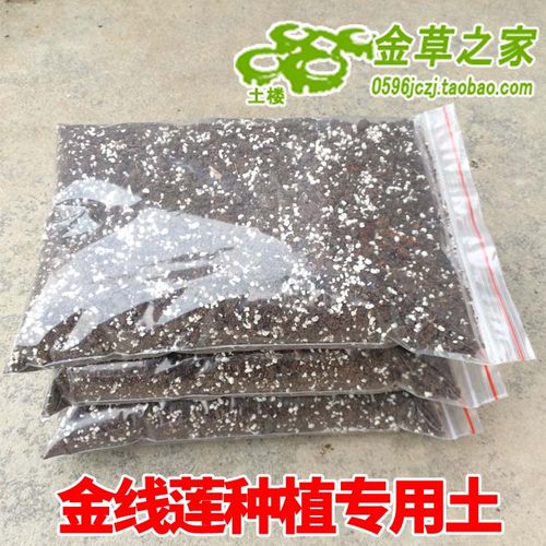 金线莲种植专用土壤种苗石斛多肉