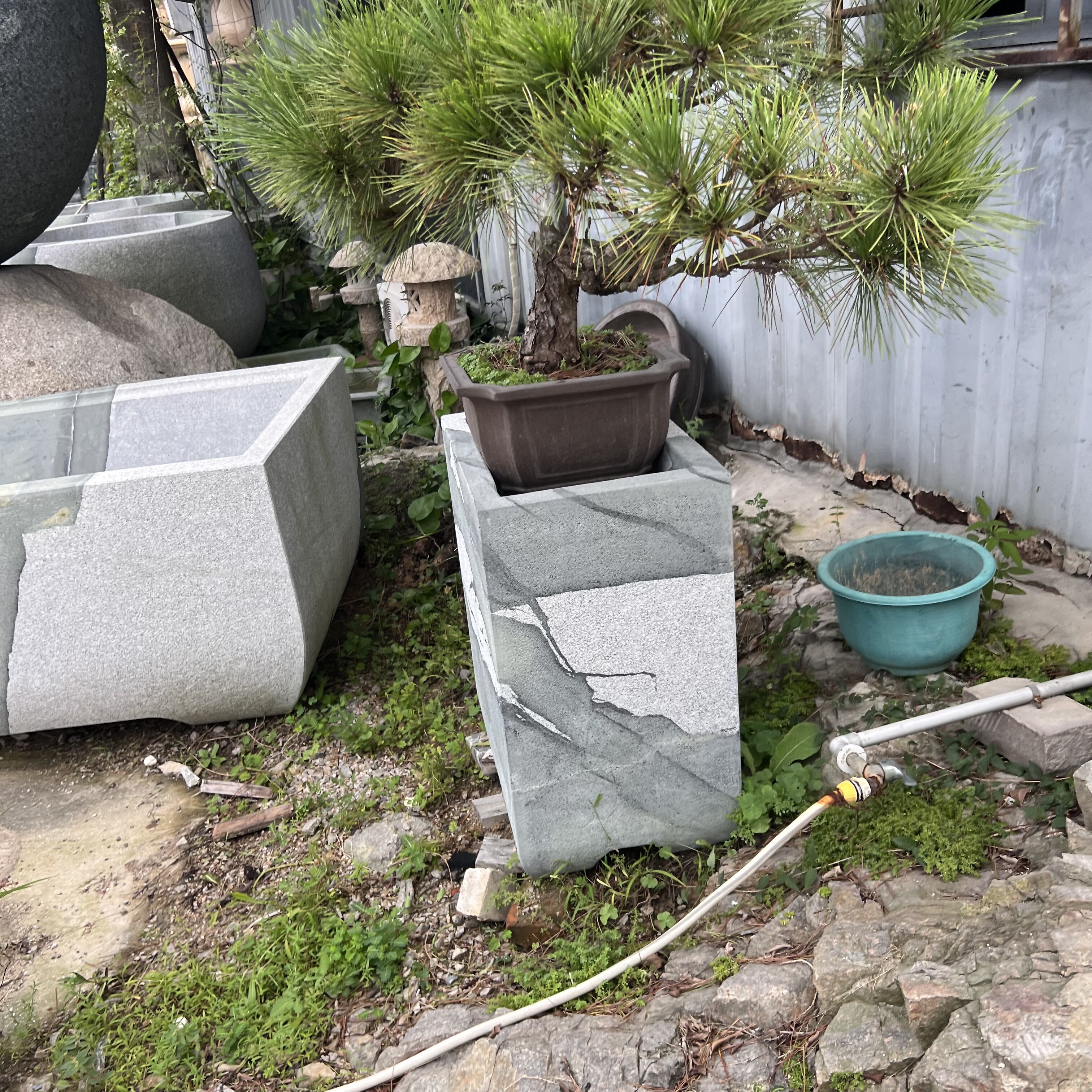 中式禅意石头树缸石头缸盆景盆仿古石雕展示落地摆件客厅玄关石盆