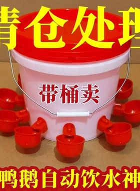鸡用自动饮水器鸭鹅鸽子鹌鹑桶装喝水碗雏鸡饮水碗全自动新款水碗