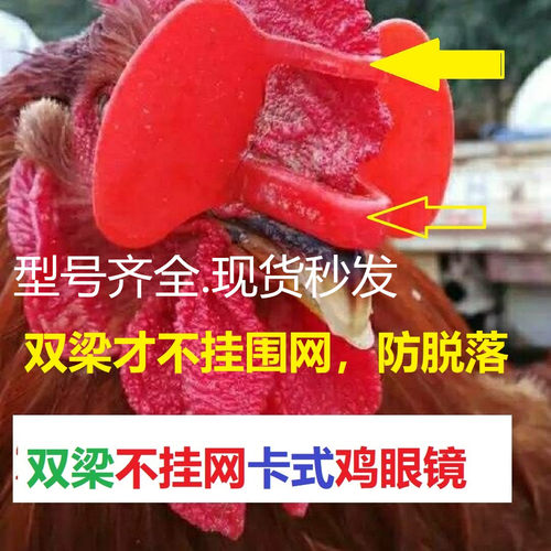 鸡眼罩无栓鸡鸭孔雀卡式不穿鼻孔