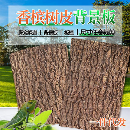 真树皮软木香槟树皮爬宠鱼缸造景绿植墙装饰水族贴墙种植板背景板