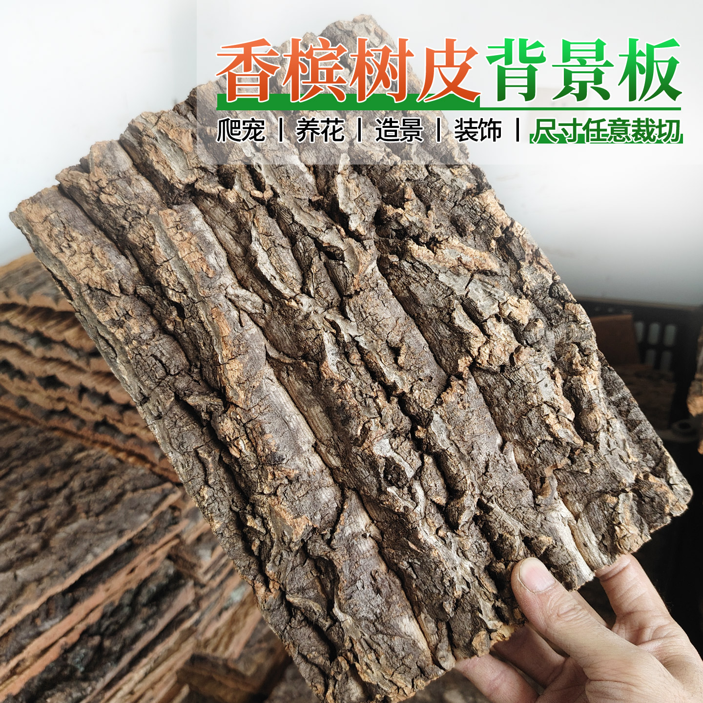 香槟天然真树皮背景板爬宠躲避图片
