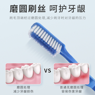 进口Formula西德美人牙刷成人款中硬毛家庭装家用清洁便携特价