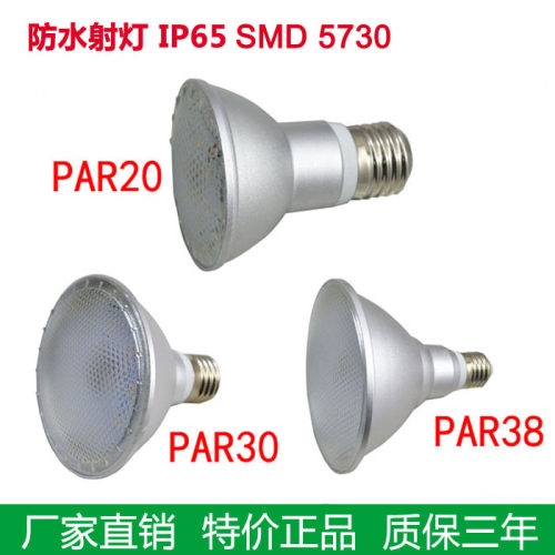 厂家直销PAR38可调光E27防水灯