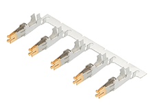 Molex正品0428150032