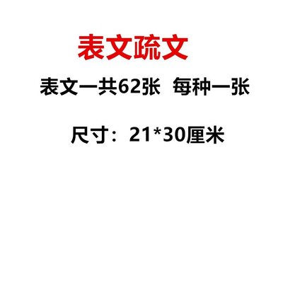 表文大全表文纸黄裱纸每种一张一共70张尺寸21X30