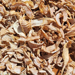 笋干 磐安农家竹笋干 东阳土特产嫩笋片 毛竹笋干