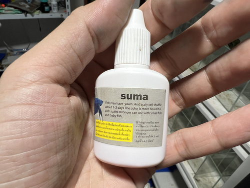 新货泰国原装suma鱼药治疗半月专用烧尾 失瞟白点裂尾紫盖