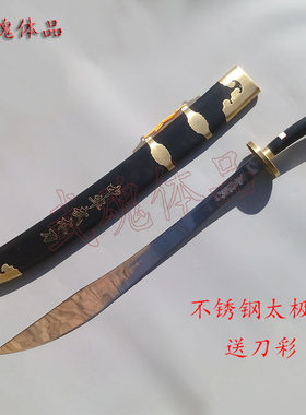 龙泉不锈钢太极单刀武术表演晨练