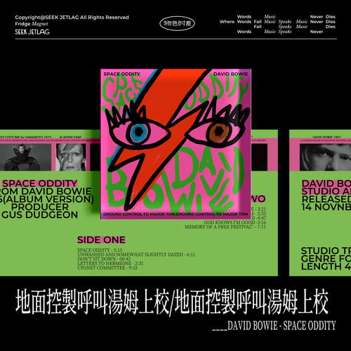 物色时差DavidBowie冰箱贴
