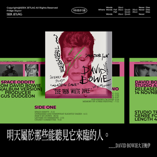 物色时差「假专辑」原创大卫鲍伊David Bowie摇滚音乐磁贴冰箱贴