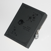 包邮 铁文章密码 创意带锁收纳铁盒 收纳储物盒 盒子 日记本纸盒子