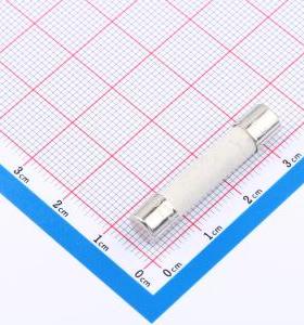 0314004.MXP 一次性保险丝 250V