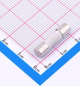 0215002.HXP 一次性保险丝 250V