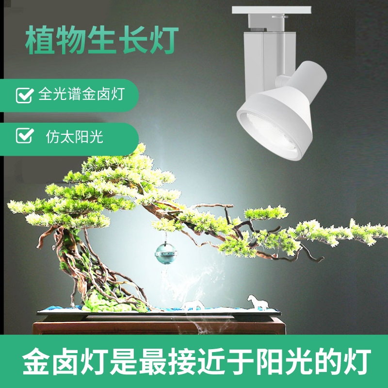 EDN花店多肉植物金卤阳光70w射灯