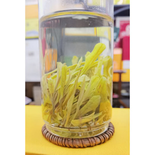 2026新茶安徽郎溪黄黄金芽雨前春茶叶绿茶高茶氨酸口粮茶甘醇耐泡