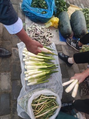 [川芎林]崇明岛茭白新鲜野生茭白上市时令农家蔬菜高笋茭儿菜月子