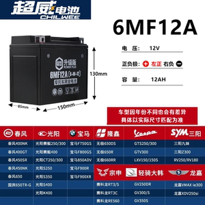 适用赛科龙电瓶RT3/睿途250 ZS250T-2摩托车蓄电池裕祥MTX12-BS