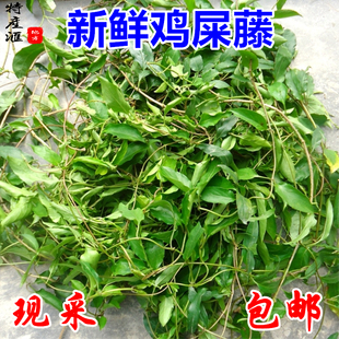 新鲜鸡屎藤 现采鸡矢藤500g包邮茜草科臭鸡屎藤全草入药 中草药材