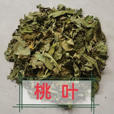 桃树叶桃子树的叶子干桃叶