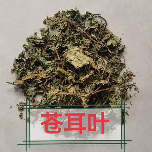 苍耳子叶自然晒干苍耳叶