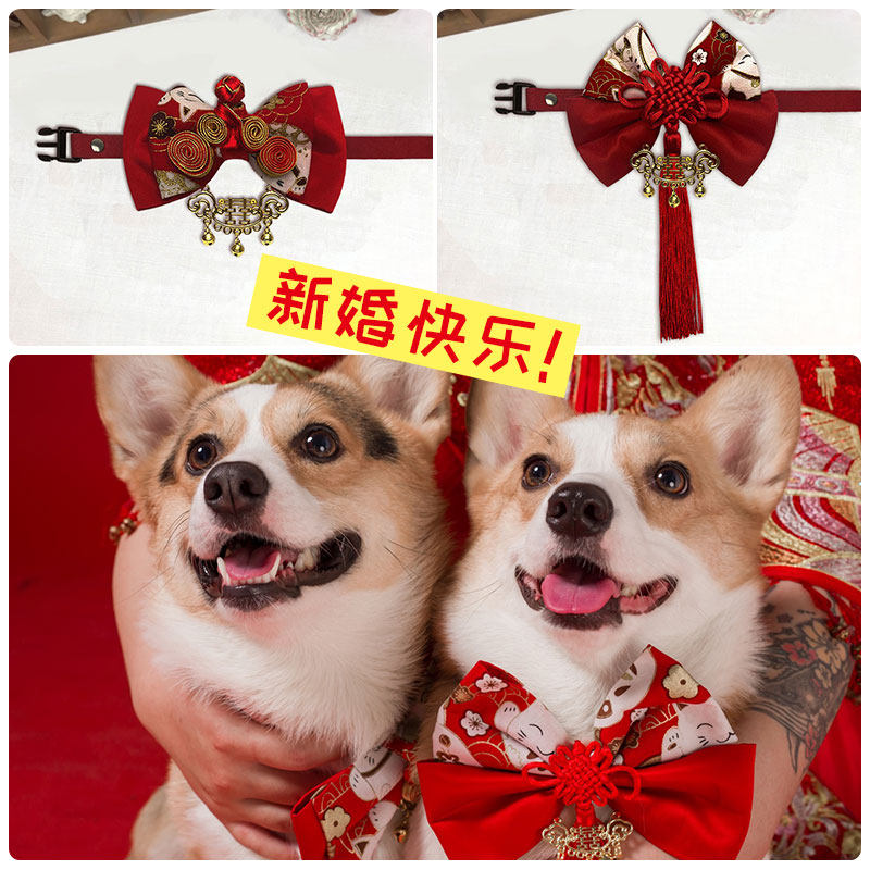 中式婚礼拍照结婚拉布拉多可调节大狗领结 绅士大型犬领花领结