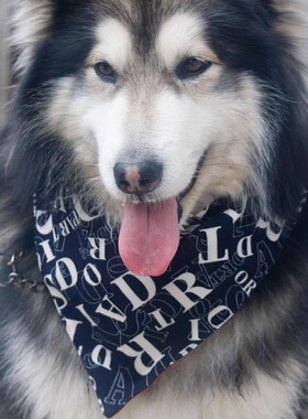 纯棉口水巾金毛边三角巾边牧宠物围嘴大狗吃饭兜宠物围兜柴犬防水