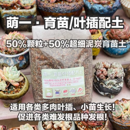 多肉植物配方价格 多肉植物配方图片 星期三