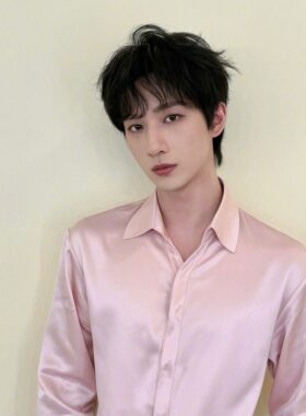 李宏毅明星同款粉色时尚长袖衬衫