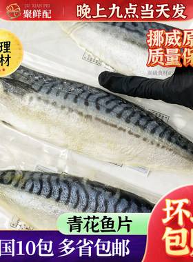 青花鱼真空单独包装挪威青花鱼片