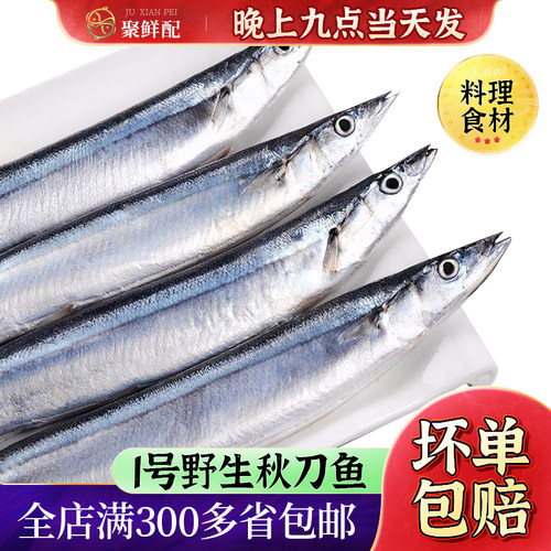 深海碳烤秋刀鱼食材鲜活水产冷冻