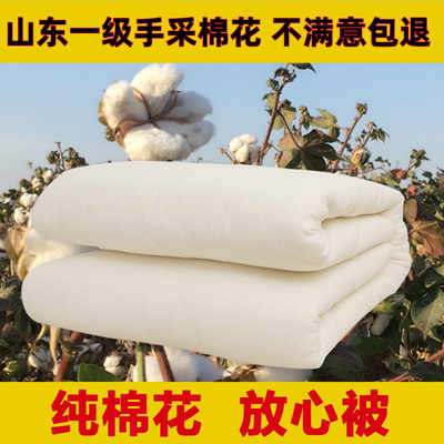 山东一级纯棉被芯床垫保暖冬被