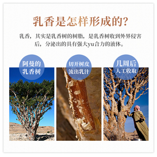 阿曼乳香纯露250ml阿曼绿乳纯露含精油