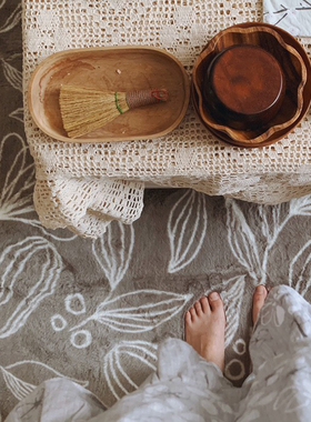 CASTLE GARDEN超柔仿图绒抗菌海绵复合地毯 果实