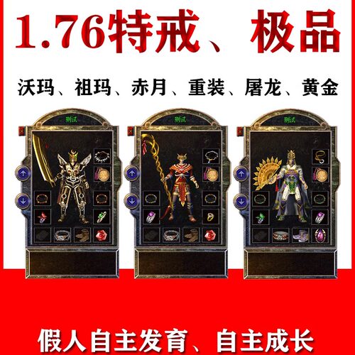 盛大热血传奇假人陪玩单机电脑pc