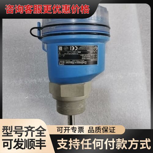 议价E+H阻旋式物位计 FTE20-15D2/0可维修