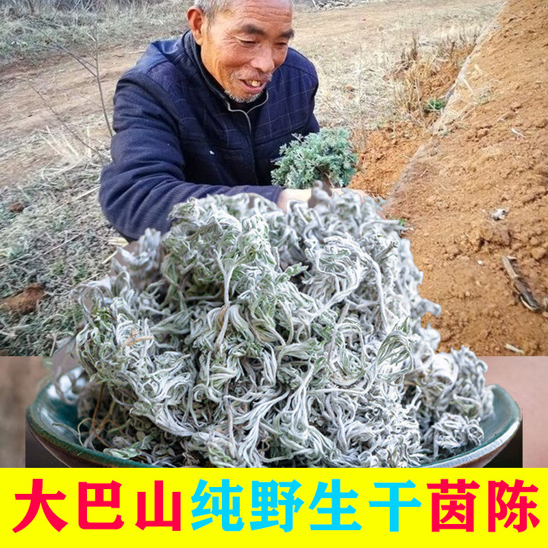 2026四川大巴山野生干茵陈500g