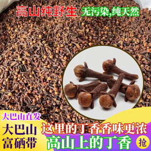 野生自然生长公丁香四川深山土特产卤料八角丁香特级香料500g干净