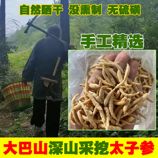 当季大巴山高山野生太子参中药材特级儿童成长精选孩儿参脾胃煲汤