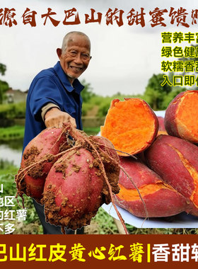 爷爷自种正宗四川农家自种红番薯